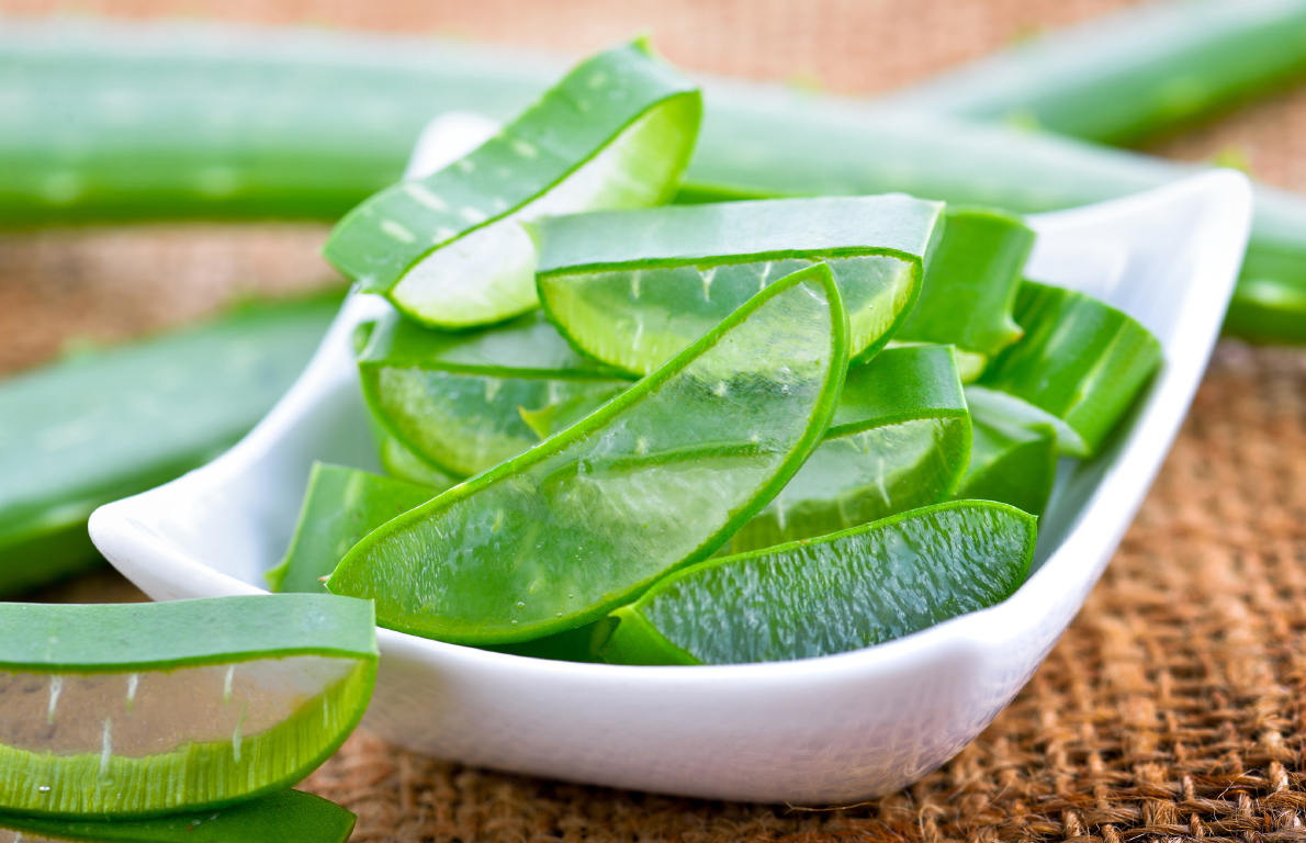 Aloe Vera from 18 FoodBased Remedies for Dry Skin Slideshow The
